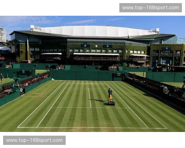 温网回放：把草地上的传奇带回客厅